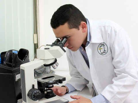 Investigadores